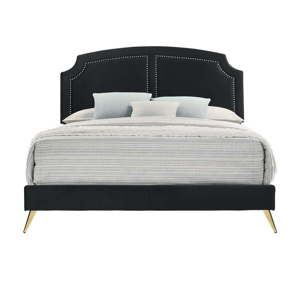 Zeena Queen Bed
