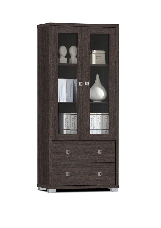Tall Cabinet with 2 Drawers and Transparent Glass